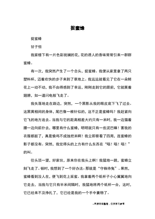 捉蜜蜂_小学五六年级记事