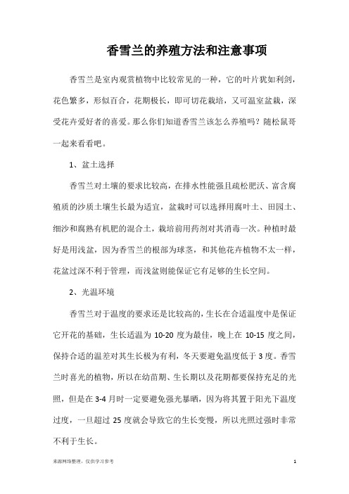 香雪兰的养殖方法和注意事项