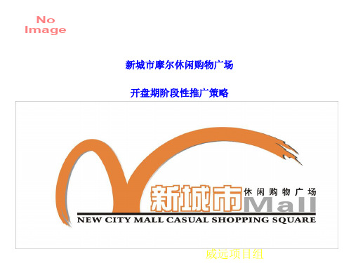 开盘期阶段性推广策略分析