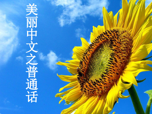 推普周普通话知识讲座专业知识讲座