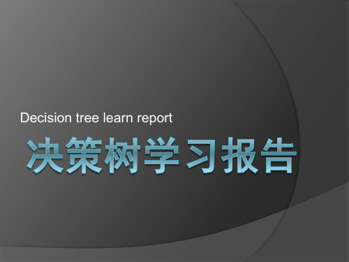 第四章：决策树学习报告