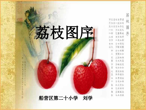五年级上册荔枝图序PPT课件