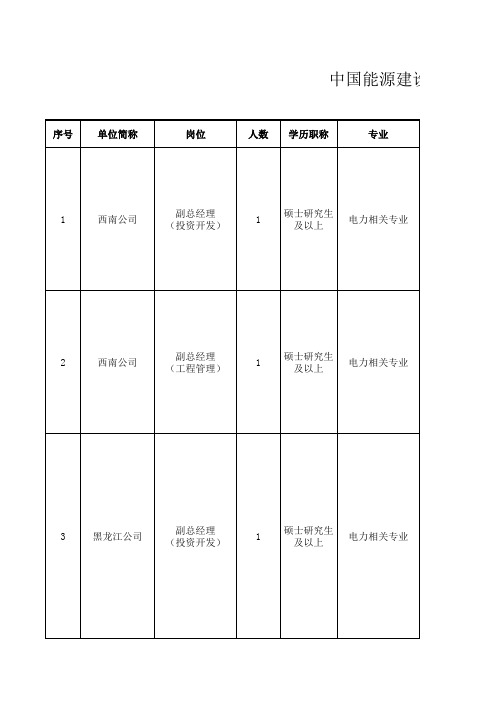 中国能源建设集团投资有限公司社会招聘岗位资格条件一览表