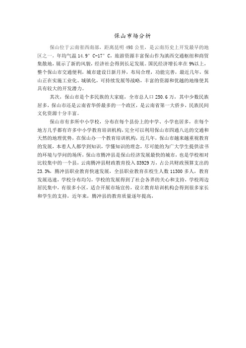 保山市场分析
