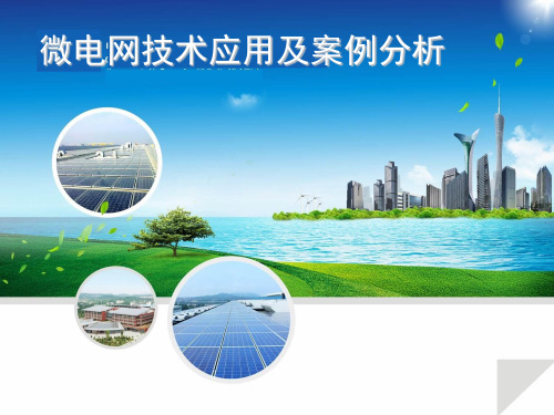 微电网技术应用及案例分析