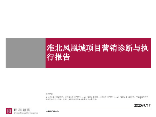 世联_深圳淮北凤凰城项目营销诊断与执行报告_141PPT.pptx
