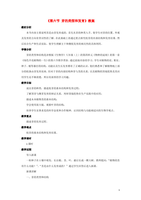 八年级生物上册 第四单元 第一章 第六节 芽的类型和发育教案 (新版)济南版