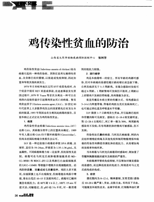 鸡传染性贫血的防治