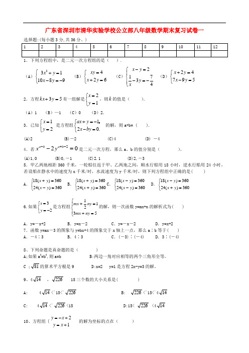 广东省深圳市清华实验学校公立部八年级数学期末复习试