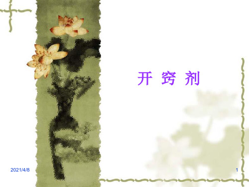 开窍剂PPT课件