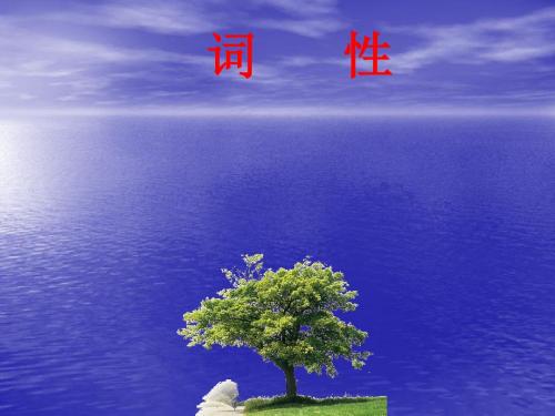 词性讲解