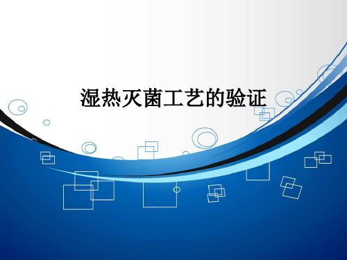 湿热灭菌工艺的验证ppt课件