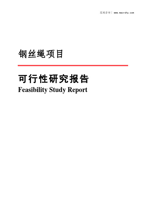 钢丝绳项目可行性研究报告