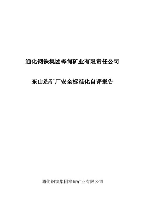 选矿厂安全生产标准化自评报告