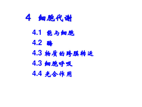 (完整PPT)陈阅增普通生物学第1篇4细胞代谢