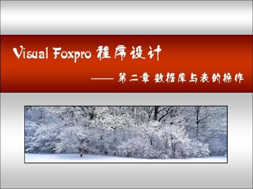 数据库与表的操作