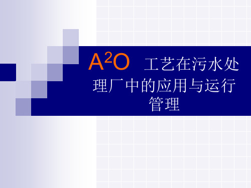 A2O工艺