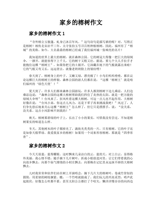 家乡的榕树作文