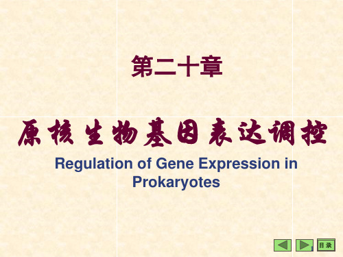 分子生物学学习课件：第六部分  基因表达调控
