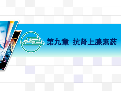 β受体阻断药拉贝洛尔抗肾上腺素药---分类