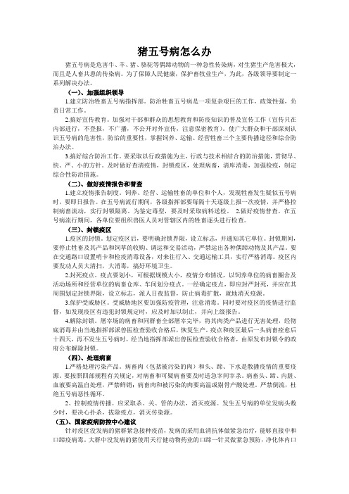 猪五号病怎么办