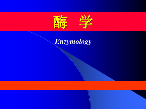 催化反应动力学-2抑制动力学