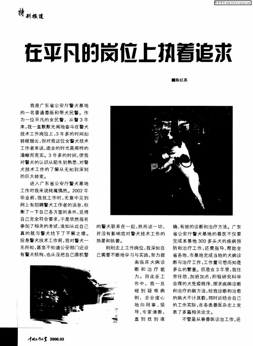在平凡的岗位上执着追求