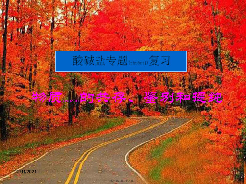 九年级化学下册 第十一单元《盐 化肥》物质的共存、鉴别和提纯课件 
