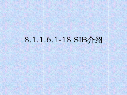 SIB消息内容介绍