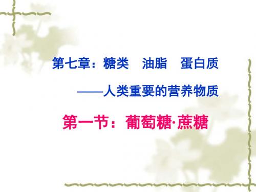 最新-葡萄糖、蔗糖 精品