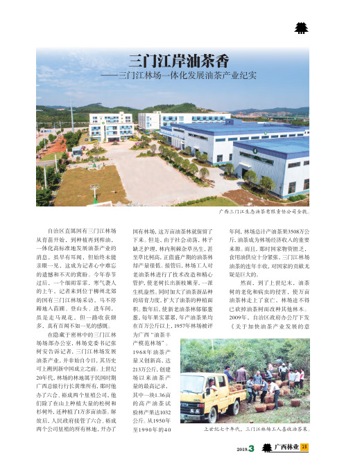 三门江岸油茶香——三门江林场一体化发展油茶产业纪实