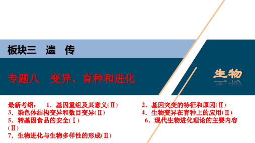 专题4遗传变异进化之生物的变异与进化(任)正式