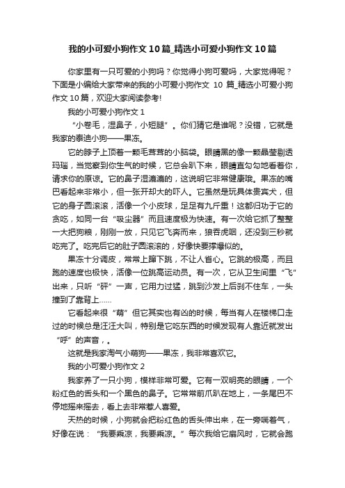 我的小可爱小狗作文10篇_精选小可爱小狗作文10篇