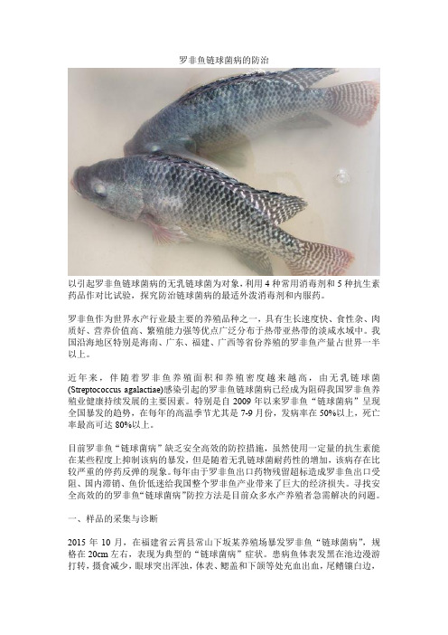 罗非鱼链球菌病的防治