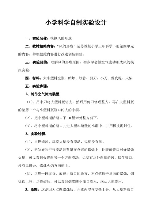 小学科学自制实验设计