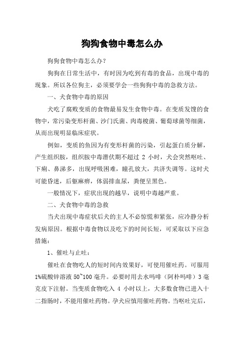 狗狗食物中毒怎么办