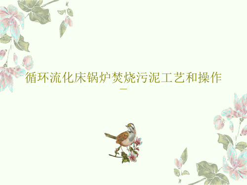 循环流化床锅炉焚烧污泥工艺和操作50页PPT