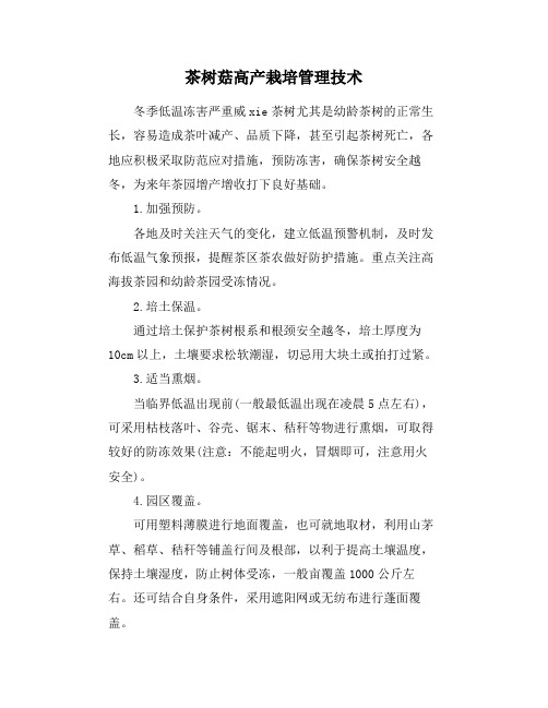 茶树菇高产栽培管理技术