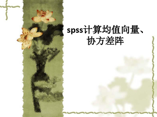 spss计算均值向量、协方差阵ppt课件