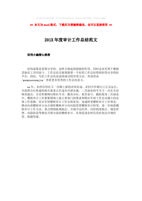 【优质文档】201X年度审计工作总结范文-精选word文档 (1页)