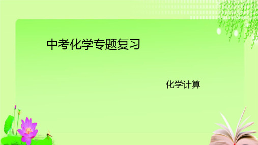 最新2020山东中考化学复习专项化学计算(25张PPT)教育课件