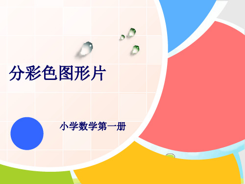 一年级上册 课件 整理与提高(分彩色图形片)PPT沪教版 (17张)