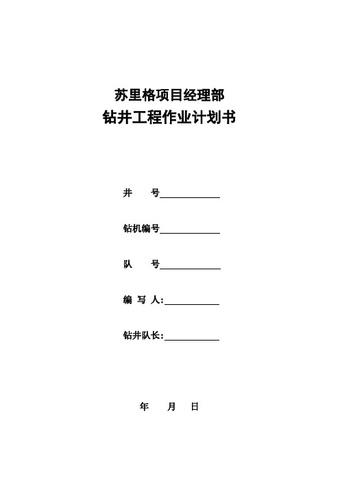 钻井工程作业计划书