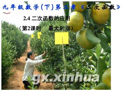2.4.2北师大版九年级数学下册课件第二章第四节二次函数的应用第二课时最大利润