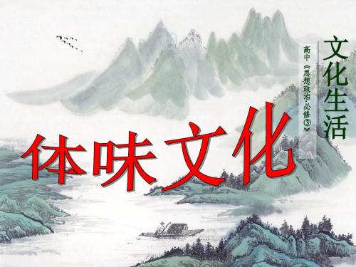 山东省冠县武训高级中学高中政治《1-1 体味文化》课件 新人教版必修3