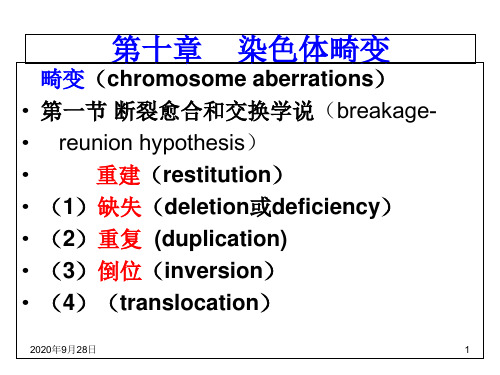 染色体畸变概述PPT课件