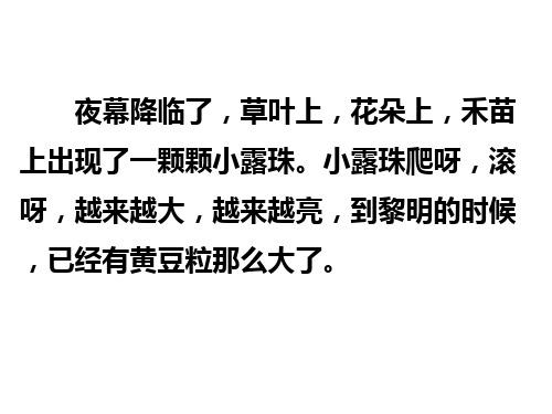 小露珠2PPT课件