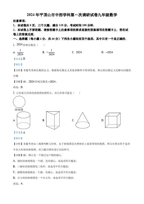 2024年河南省平顶山中考数学一模模拟试题(解析版)