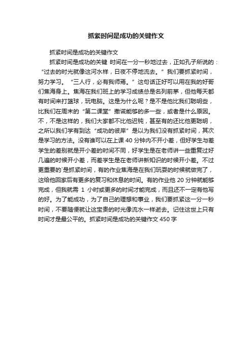 抓紧时间是成功的关键作文