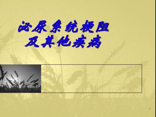 泌尿梗阻